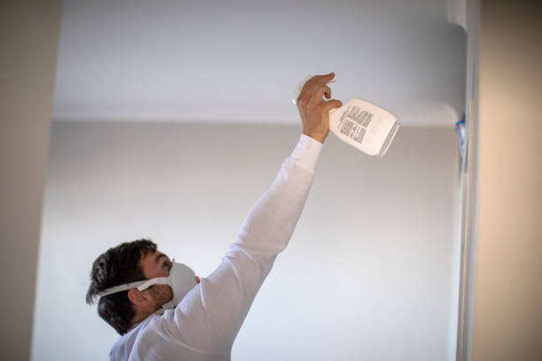 Best Toxic Mold Removal  in Belfast, ME