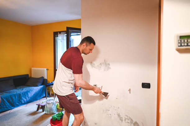 Reliable Belfast, ME Mold Removal Solutions